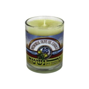 1924 - 48 Hr Olive Oil Candle 24 candles